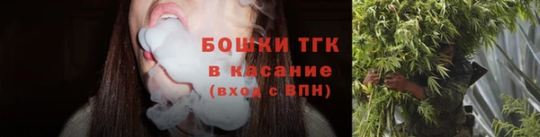 соль ск Арсеньев